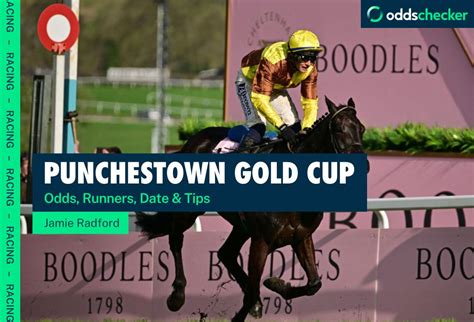 2023 Punchestown Gold Cup: the runners, the odds, .